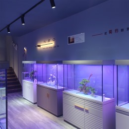 水族馆