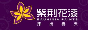 公司介绍