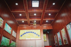 公司介绍