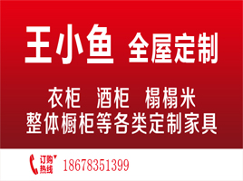 公司介绍